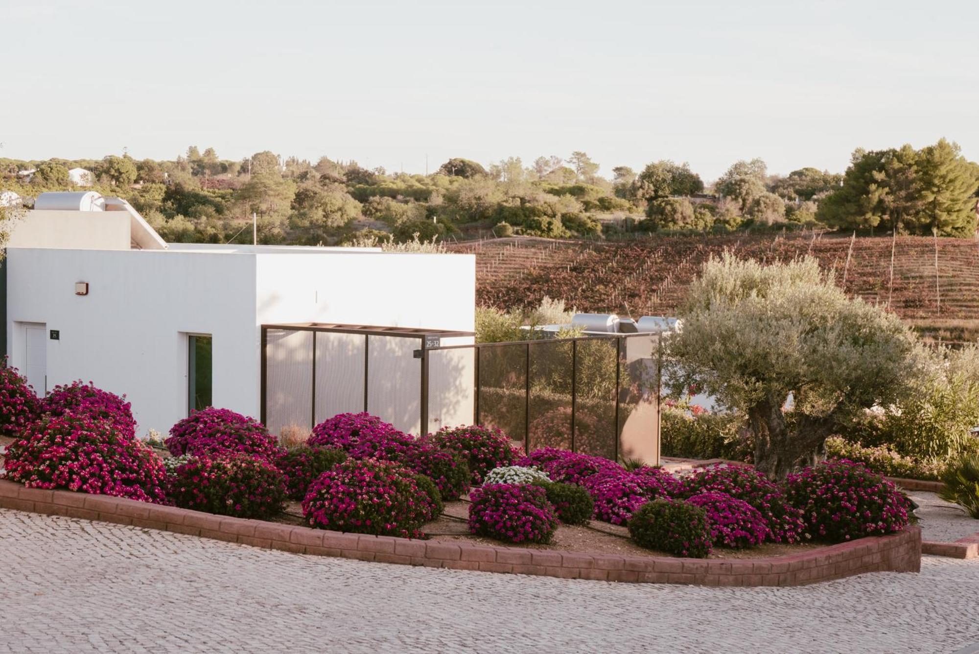 Quinta Dos Vales Wine Estate Guest House Estombar Bagian luar foto