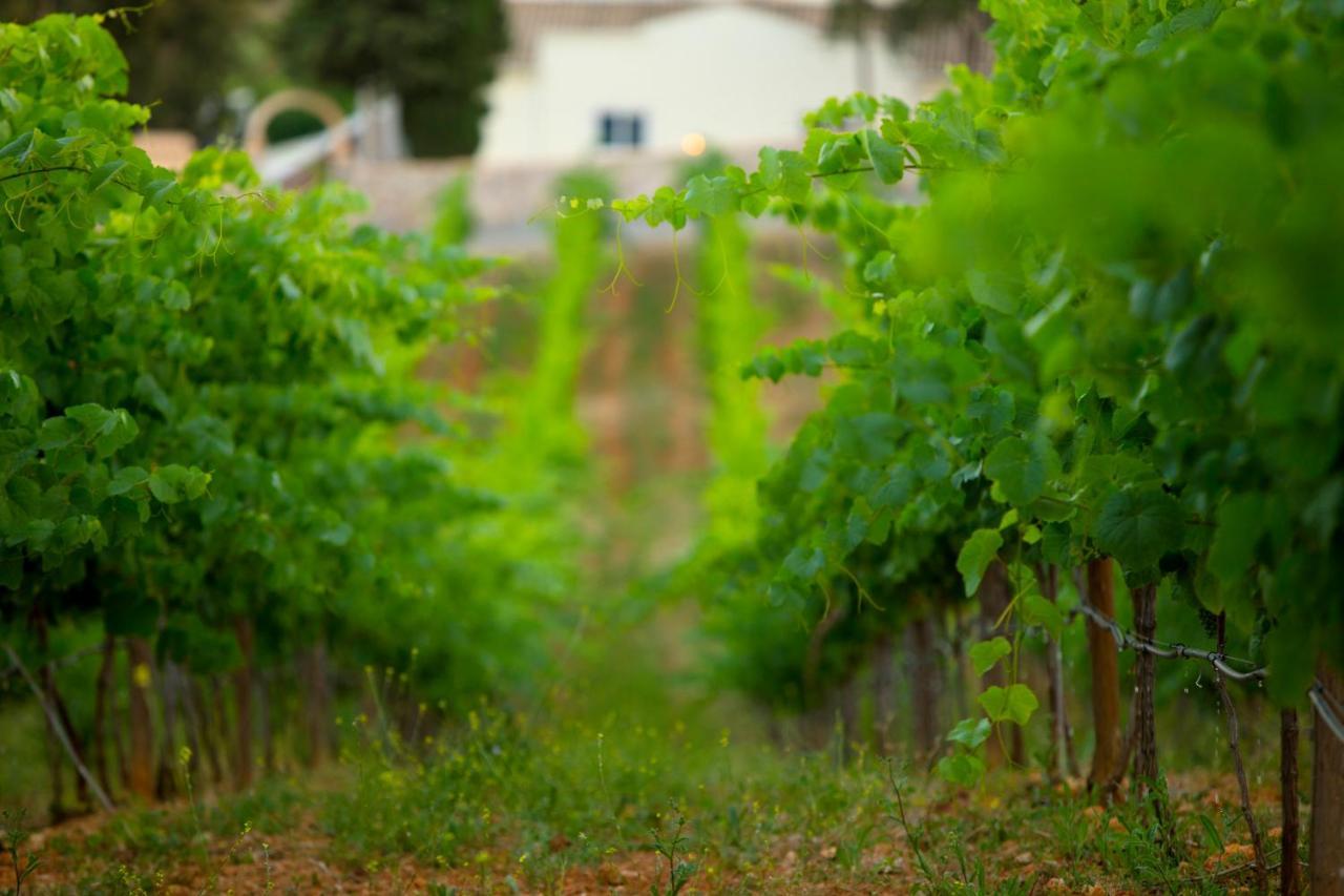 Quinta Dos Vales Wine Estate Guest House Estombar Bagian luar foto